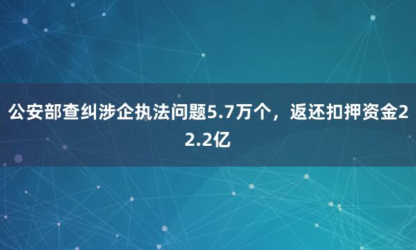 公安部查纠涉企执法问题5.7万个，返还扣押资金22.2亿