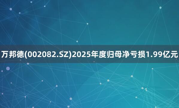 万邦德(002082.SZ)2025年度归母净亏损1.99亿元