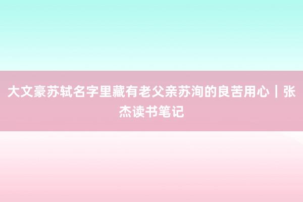 大文豪苏轼名字里藏有老父亲苏洵的良苦用心｜张杰读书笔记