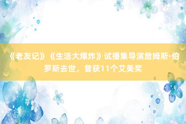 《老友记》《生活大爆炸》试播集导演詹姆斯·伯罗斯去世，曾获11个艾美奖