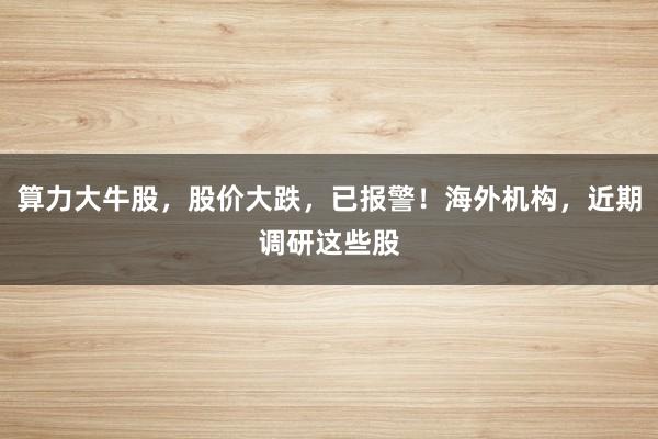 算力大牛股，股价大跌，已报警！海外机构，近期调研这些股
