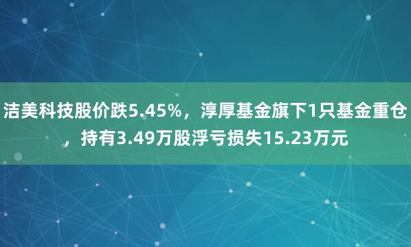 洁美科技股价跌5.45%，淳厚基金旗下1只基金重仓，持有3.49万股浮亏损失15.23万元