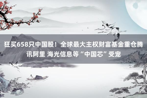 狂买658只中国股！全球最大主权财富基金重仓腾讯阿里 海光信息等“中国芯”受宠
