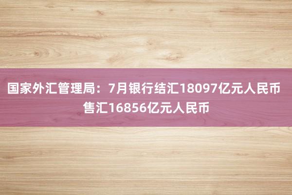 国家外汇管理局：7月银行结汇18097亿元人民币 售汇16856亿元人民币