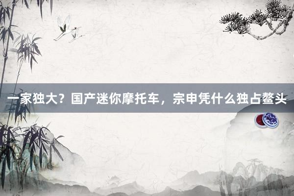 一家独大？国产迷你摩托车，宗申凭什么独占鳌头