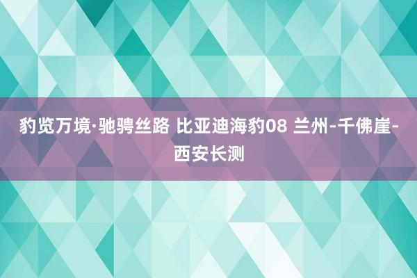 豹览万境·驰骋丝路 比亚迪海豹08 兰州‑千佛崖‑西安长测