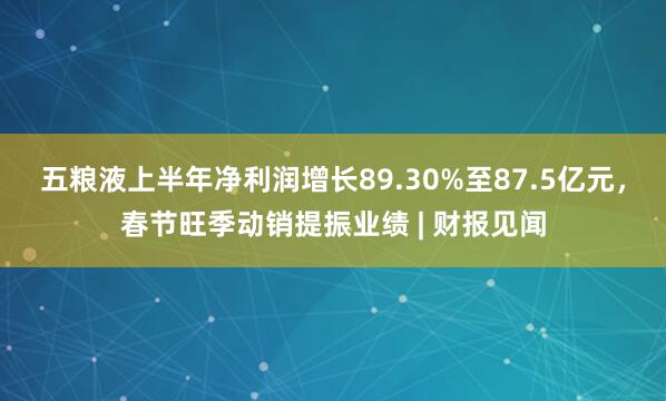 五粮液上半年净利润增长89.30%至87.5亿元，春节旺季动销提振业绩 | 财报见闻