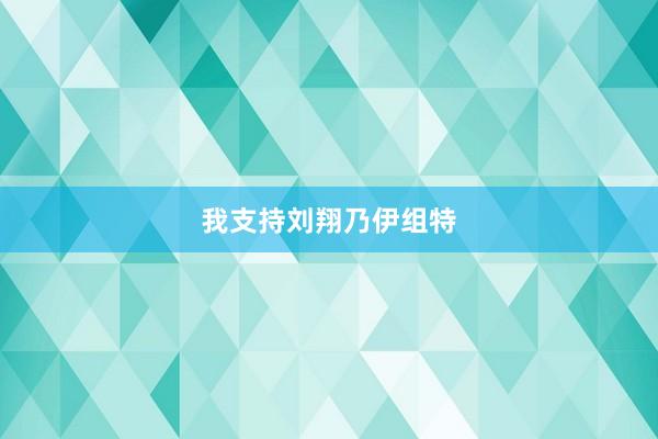 我支持刘翔乃伊组特