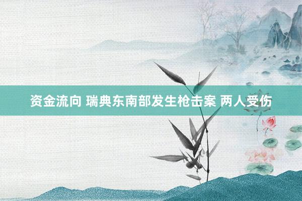 资金流向 瑞典东南部发生枪击案 两人受伤