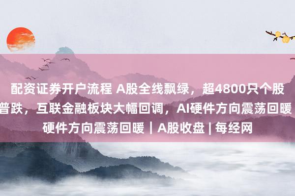 配资证券开户流程 A股全线飘绿，超4800只个股下跌！贵金属股票普跌，互联金融板块大幅回调，AI硬件方向震荡回暖｜A股收盘 | 每经网