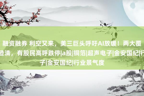 融资融券 利空又来，美三巨头呼吁AI放缓！两大覆铜板新星澄清，有股民高呼跌停|a股|铜箔|超声电子|金安国纪|行业景气度