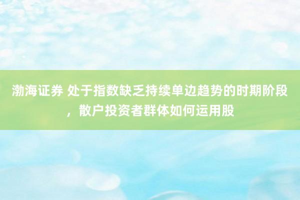 渤海证券 处于指数缺乏持续单边趋势的时期阶段，散户投资者群体如何运用股