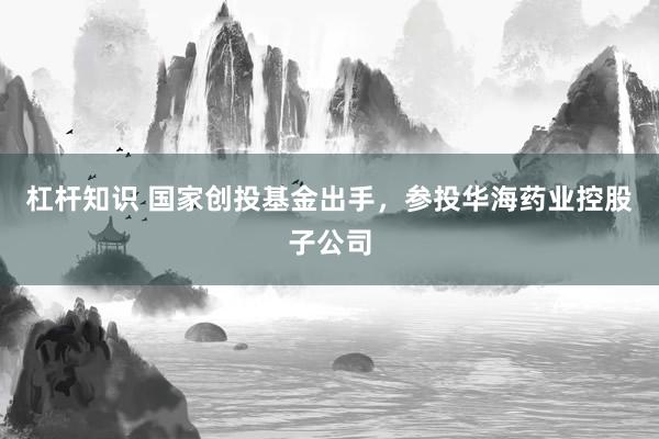 杠杆知识 国家创投基金出手，参投华海药业控股子公司