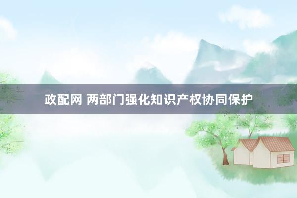政配网 两部门强化知识产权协同保护