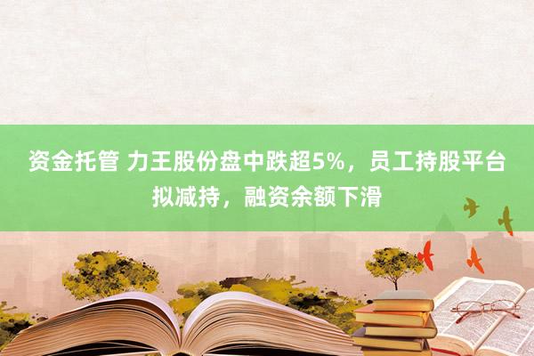 资金托管 力王股份盘中跌超5%，员工持股平台拟减持，融资余额下滑